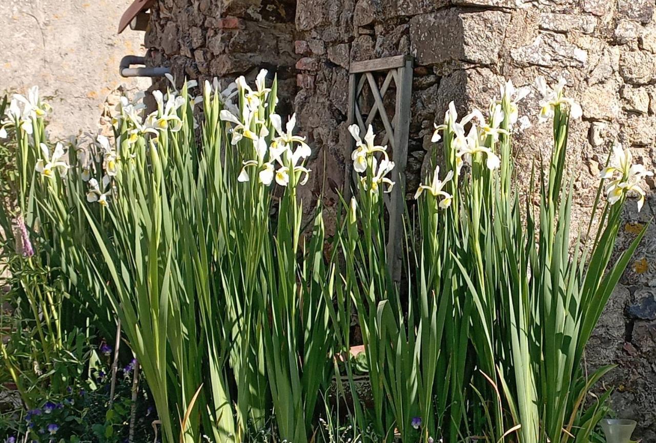 Charmant Gite A La Campagne, Proche Du Puy Du Fou, Les Charmes De Castellariis Пузож Экстерьер фото